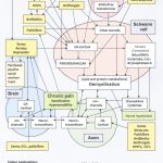 Vulvodynia