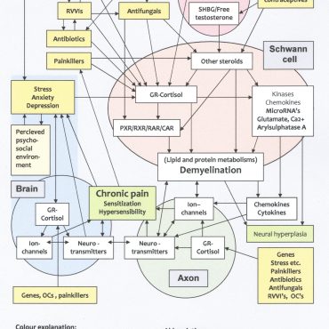 Vulvodynia