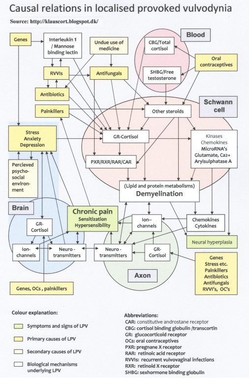 Vulvodynia